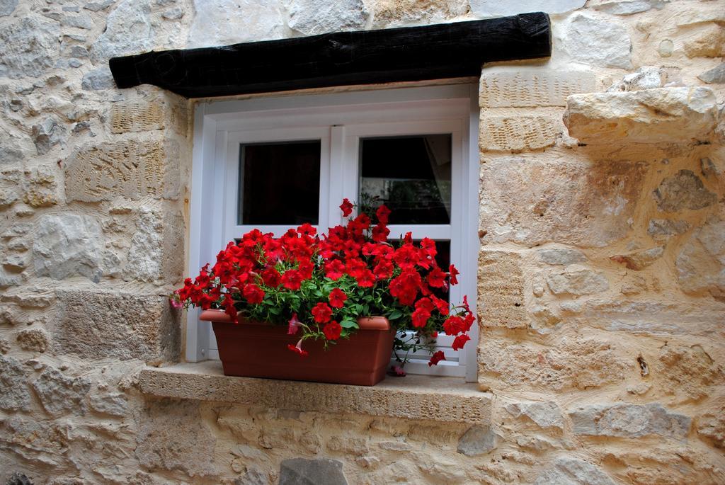 Rock House'S Villa Melody Platanias Cameră foto